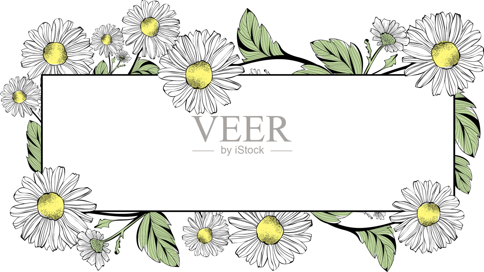 雏菊花边境设计元素图片