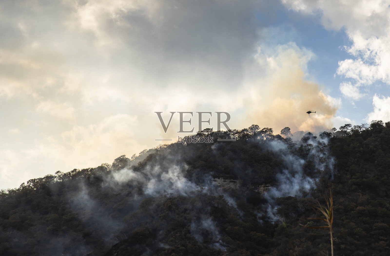 直升机救援任务,以扑灭森林大火照片摄影图片