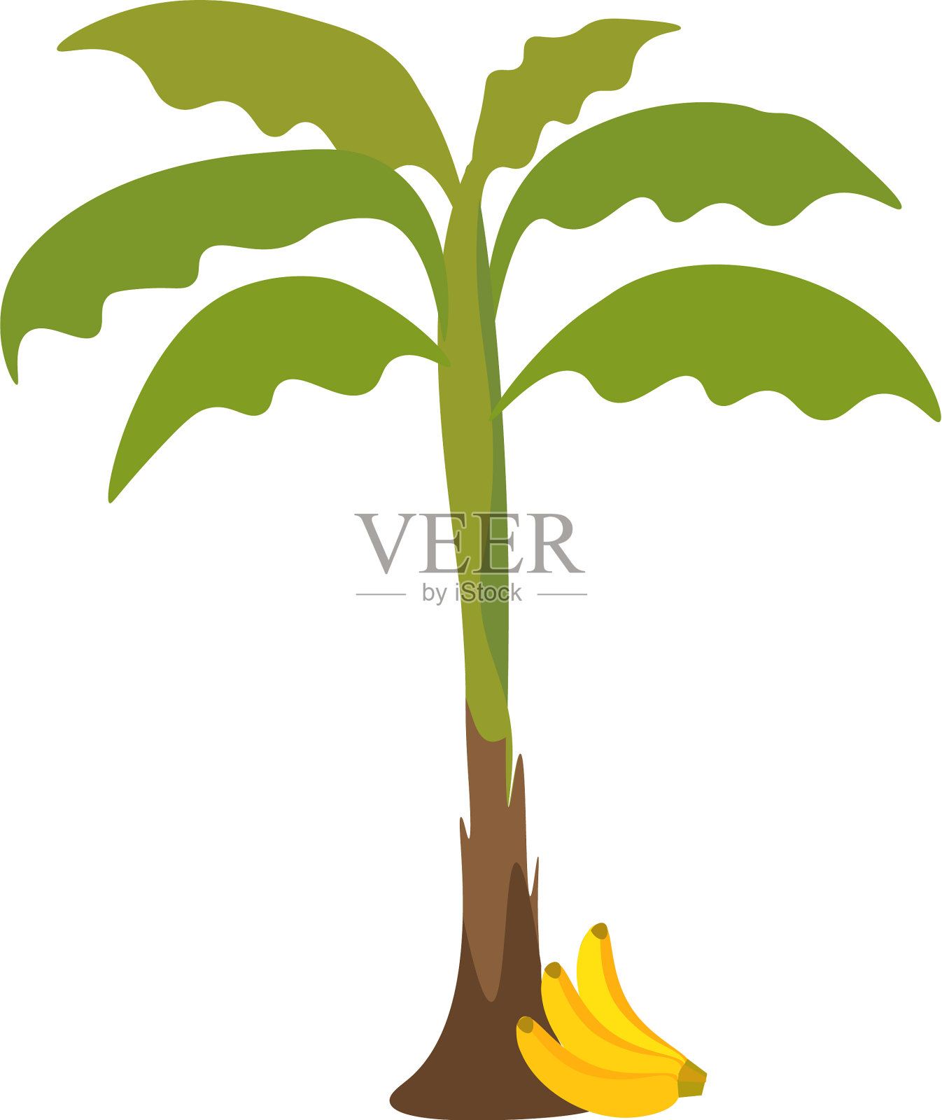 香蕉树或香蕉的颜色设计元素图片