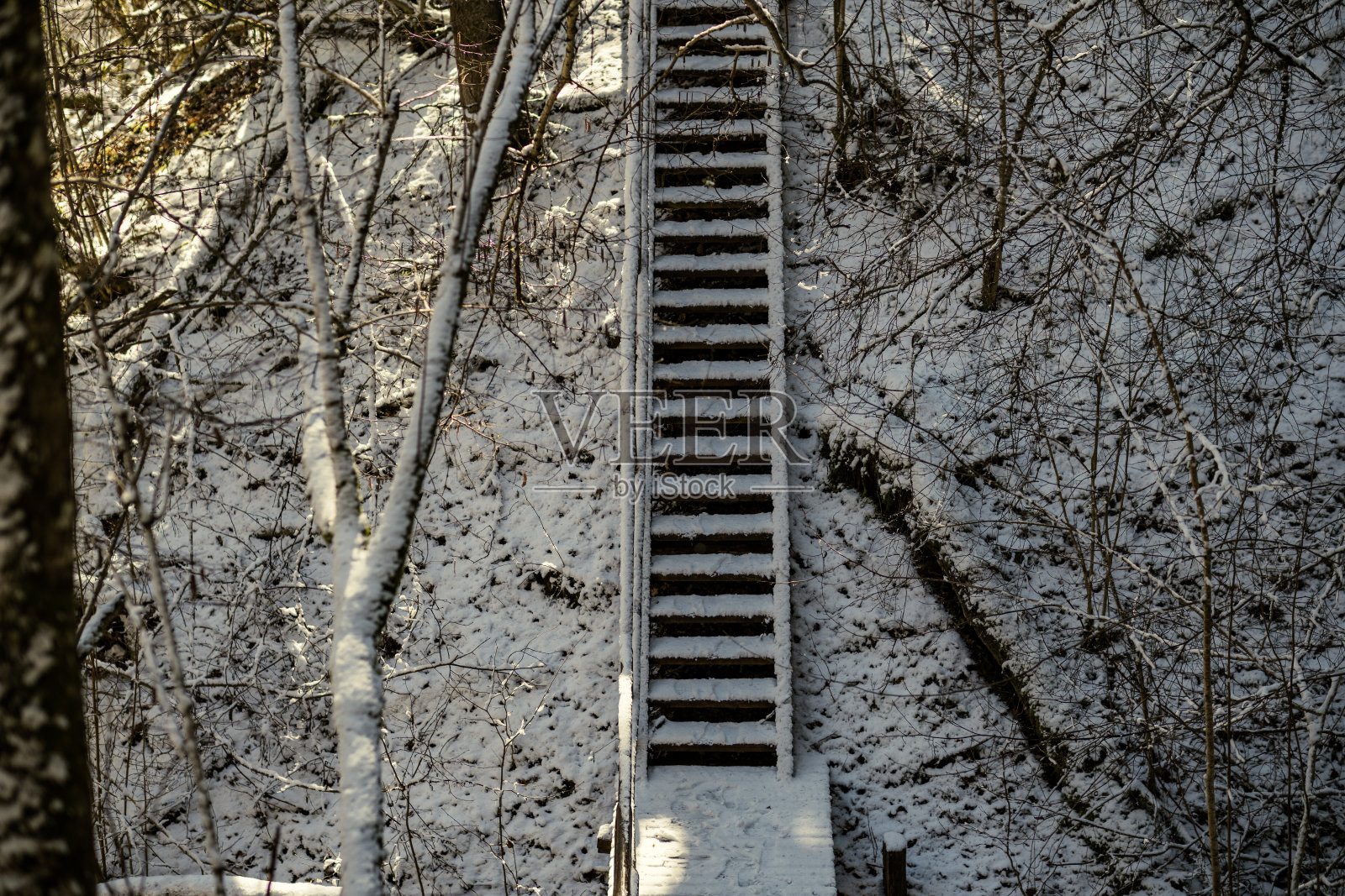 冬天在森林里散步的雪道照片摄影图片