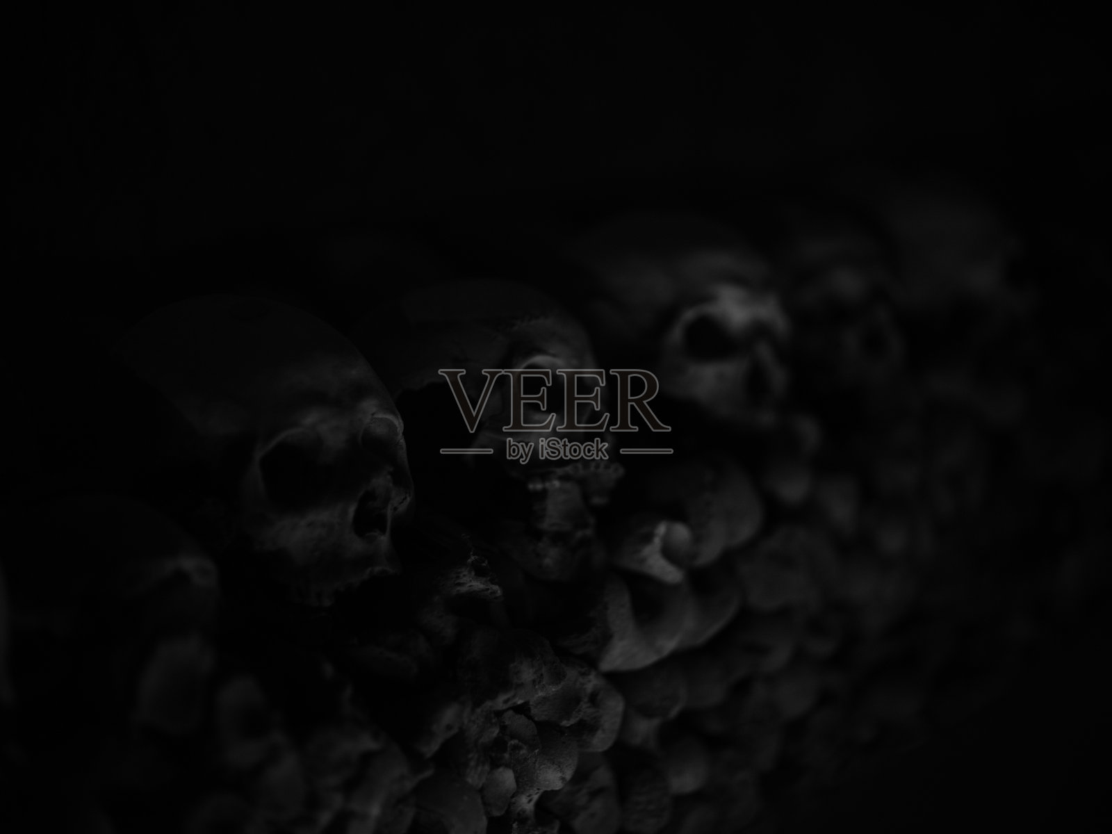 头骨和骨头照片摄影图片