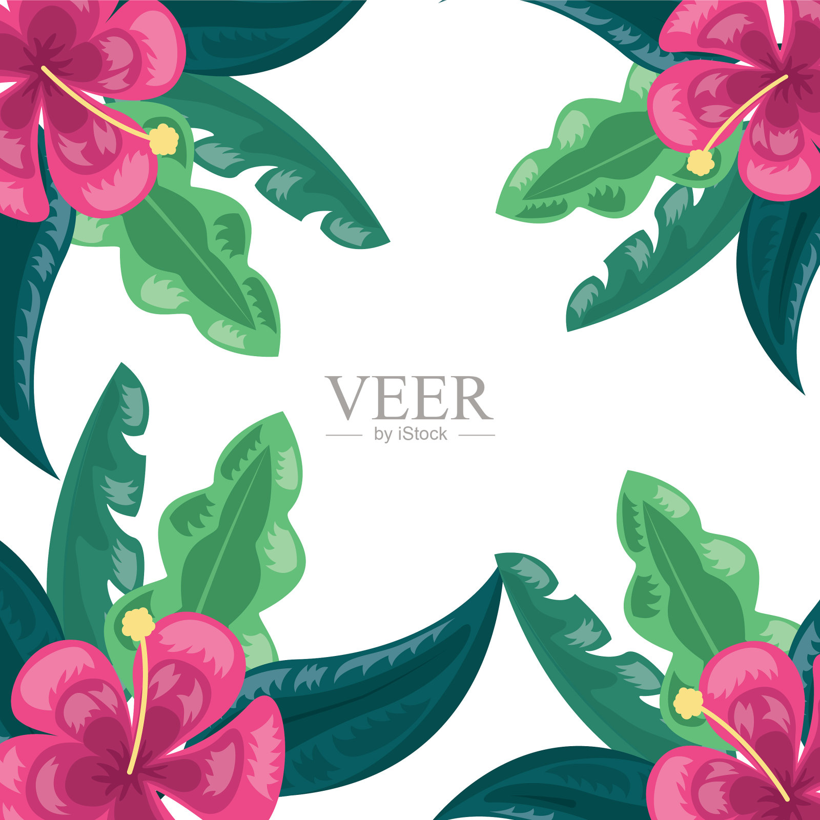 热带的花,奇异的叶插画图片素材