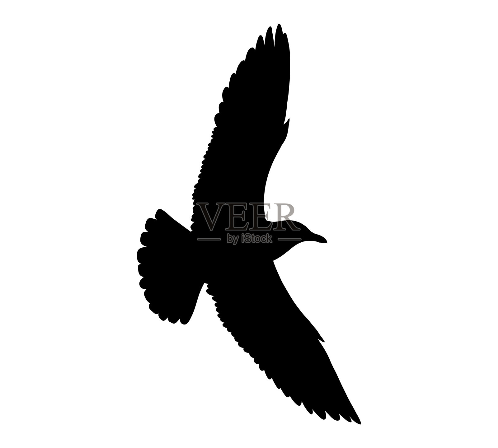 海鸥飞翔的剪影孤立在白色设计元素图片