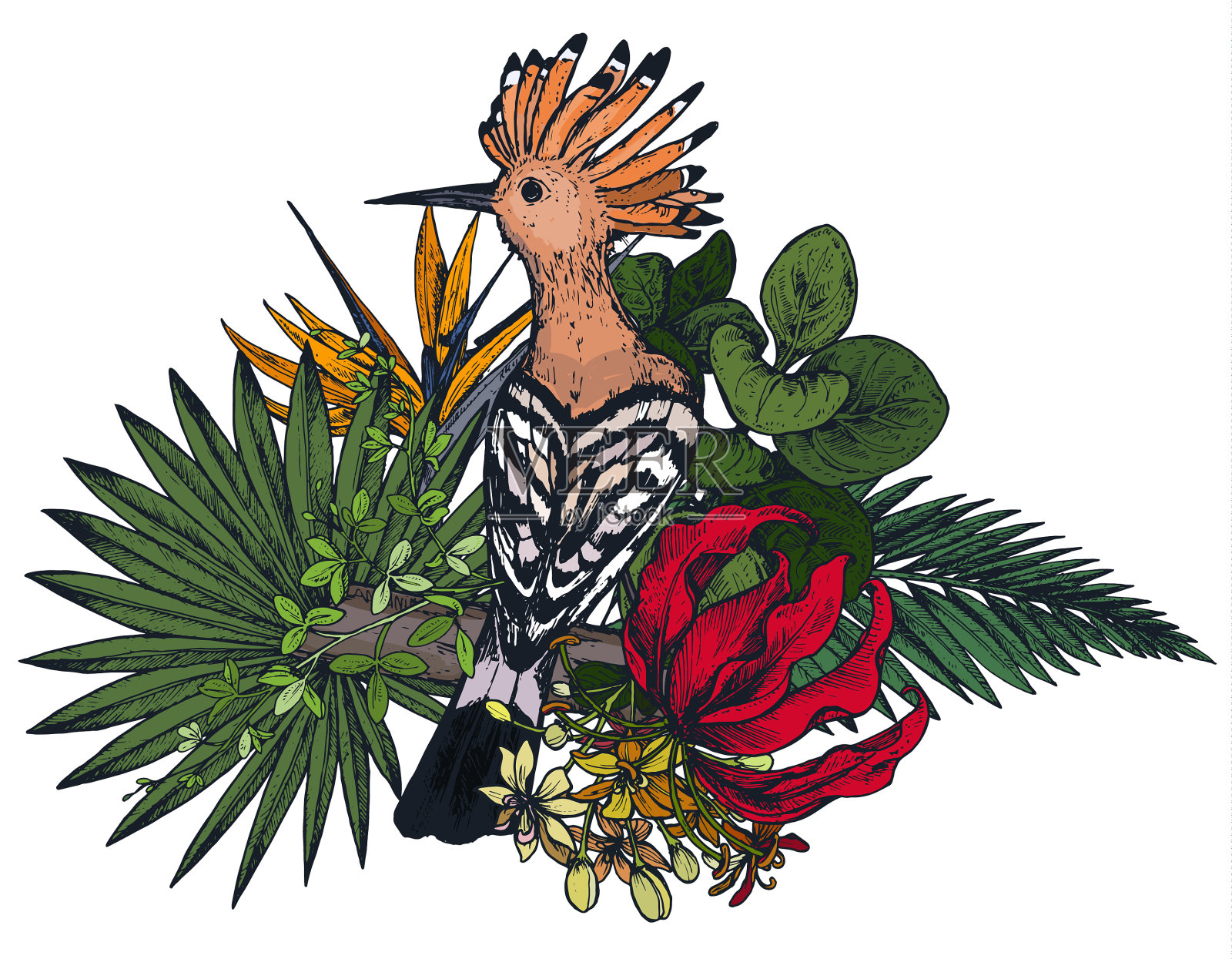 组成热带花卉和异国情调设计元素图片