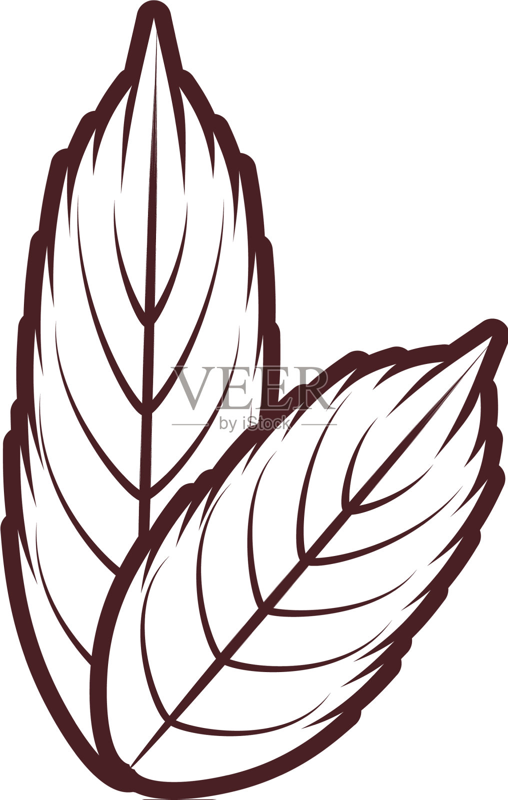 装饰羽毛孤立图标设计元素图片