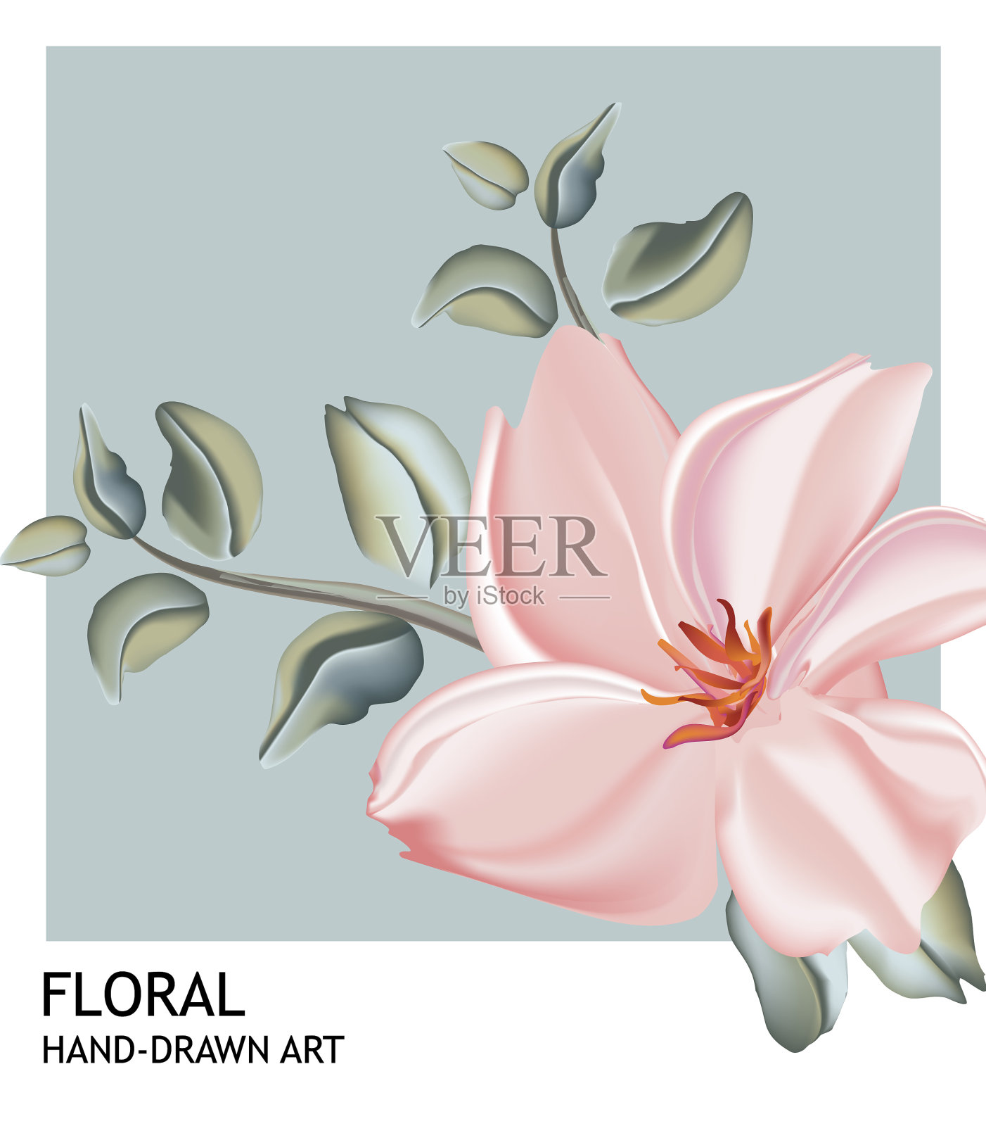 植物手绘卡片与玫瑰和设计元素图片