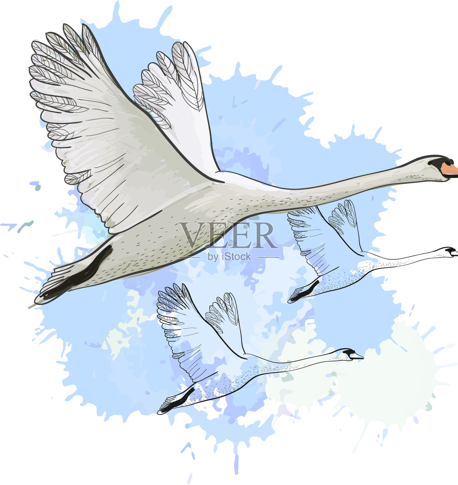 画着飞翔的天鹅设计元素图片