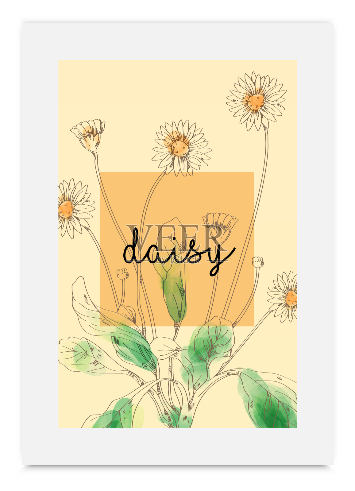 雏菊手绘水彩设计元素图片