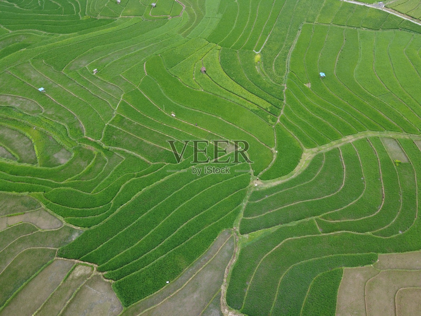 这是印尼中爪哇三宝垄市农田景观的空中全景图照片摄影图片