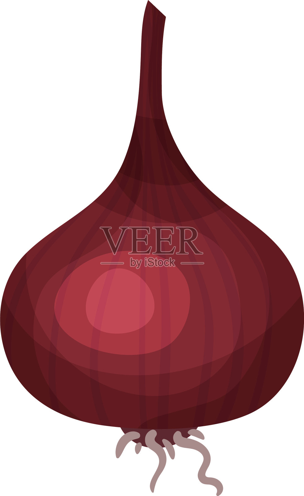 新鲜全红洋葱球茎健康饮食食品插画图片素材