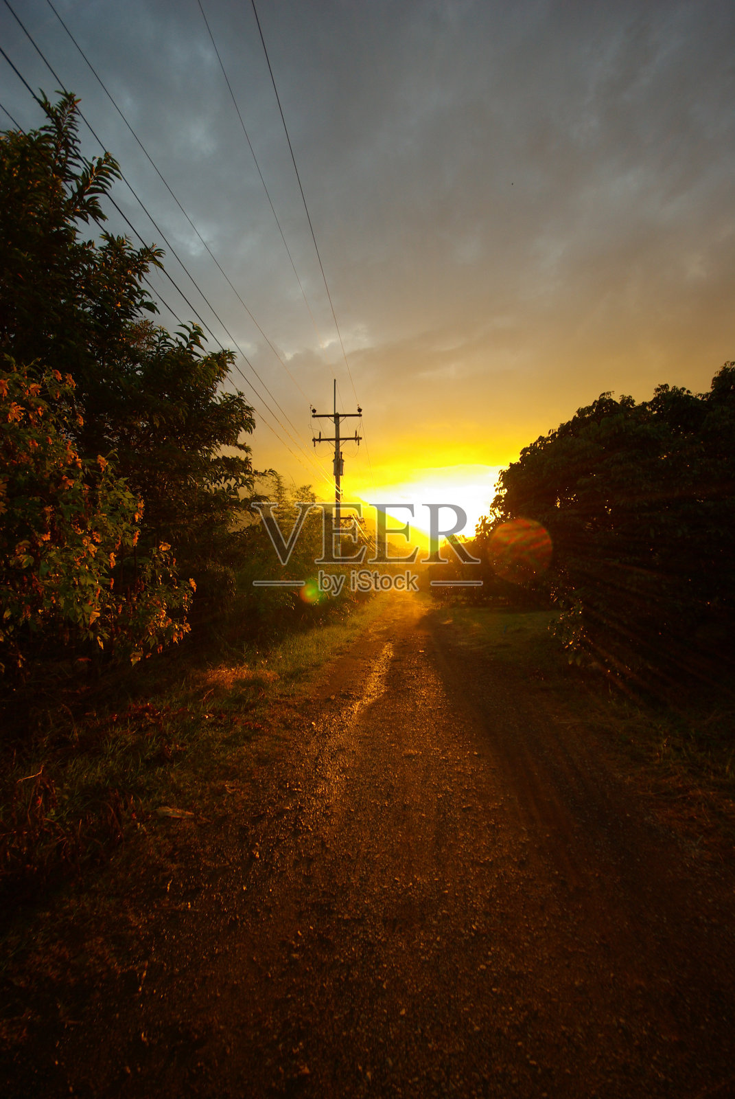 夕阳的阳光和乡间的土路照片摄影图片