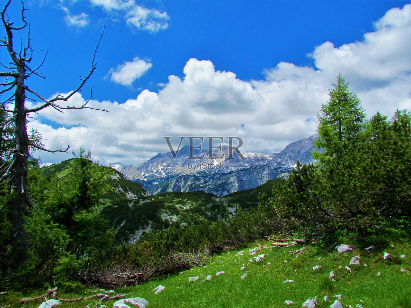 特里格拉夫山照片摄影图片