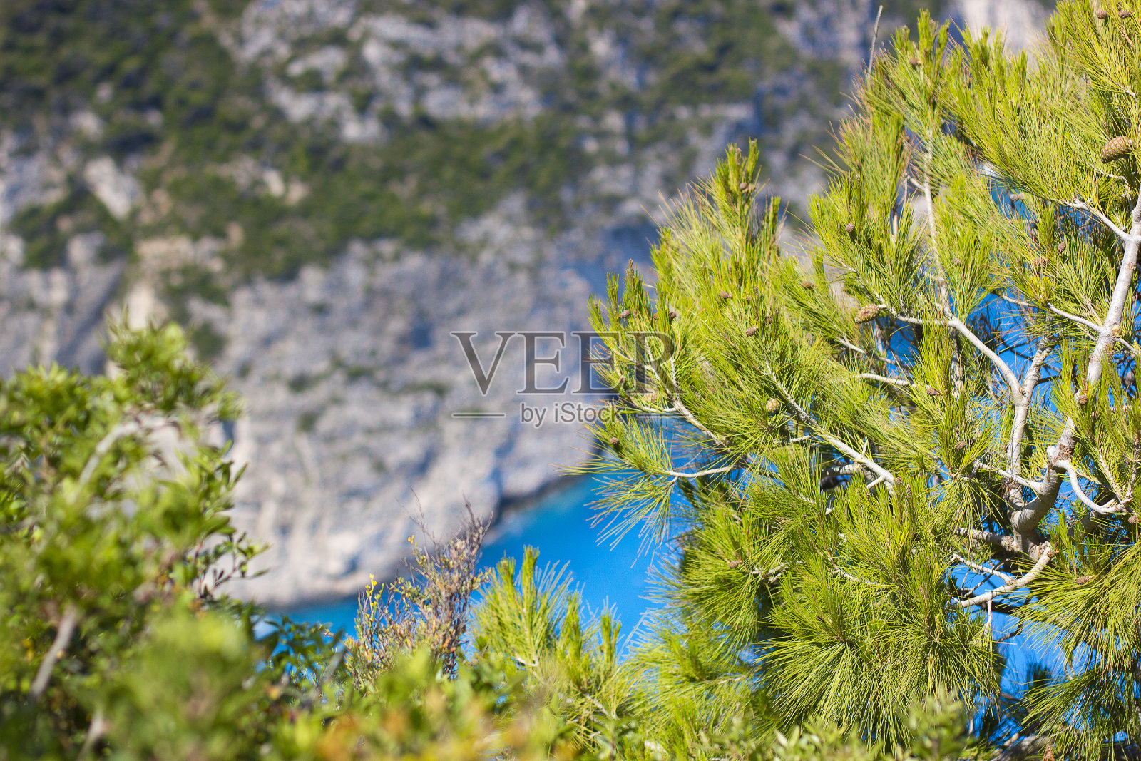 抽象背景与大海,岩石和松树照片摄影图片