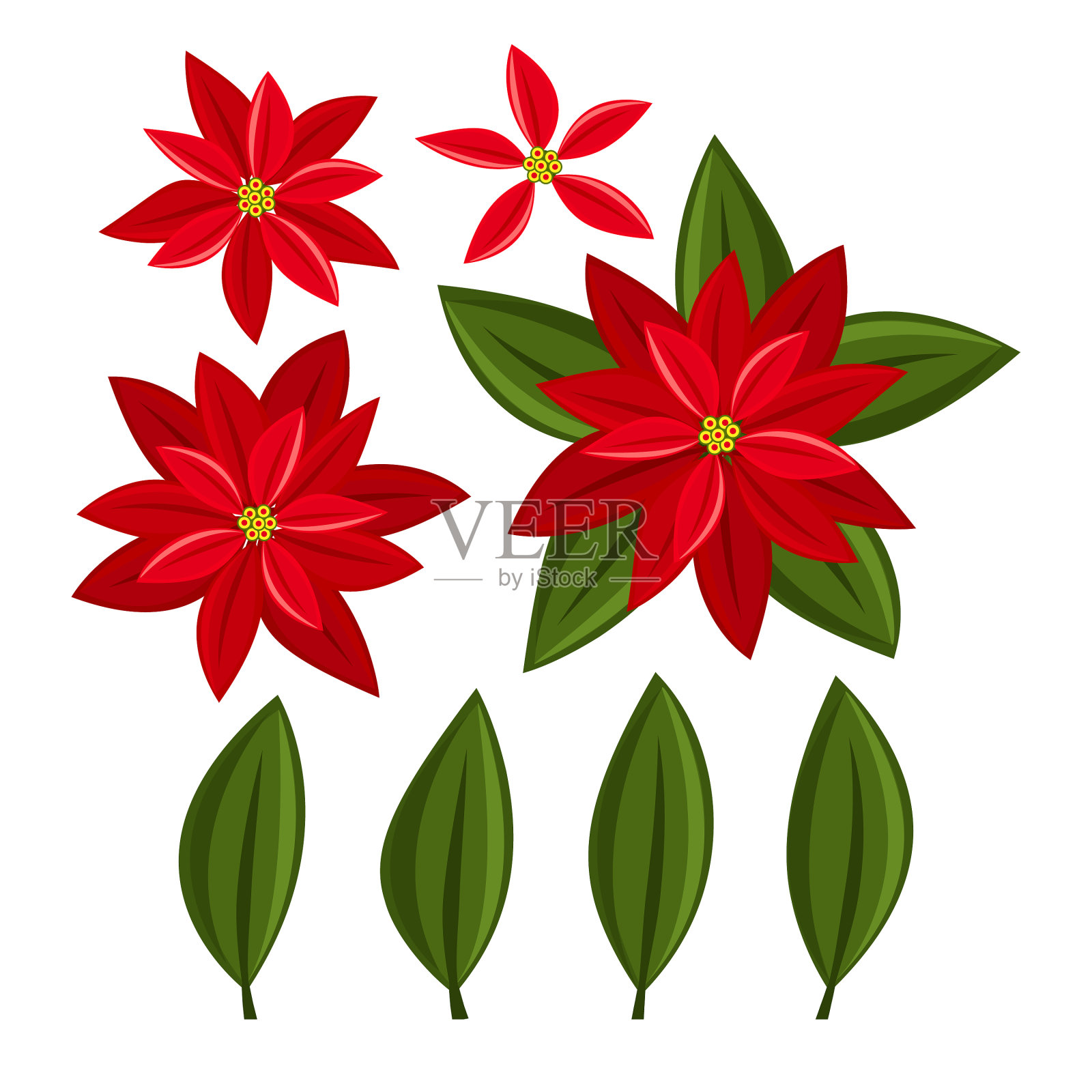 圣诞元素与一品红集设计元素图片