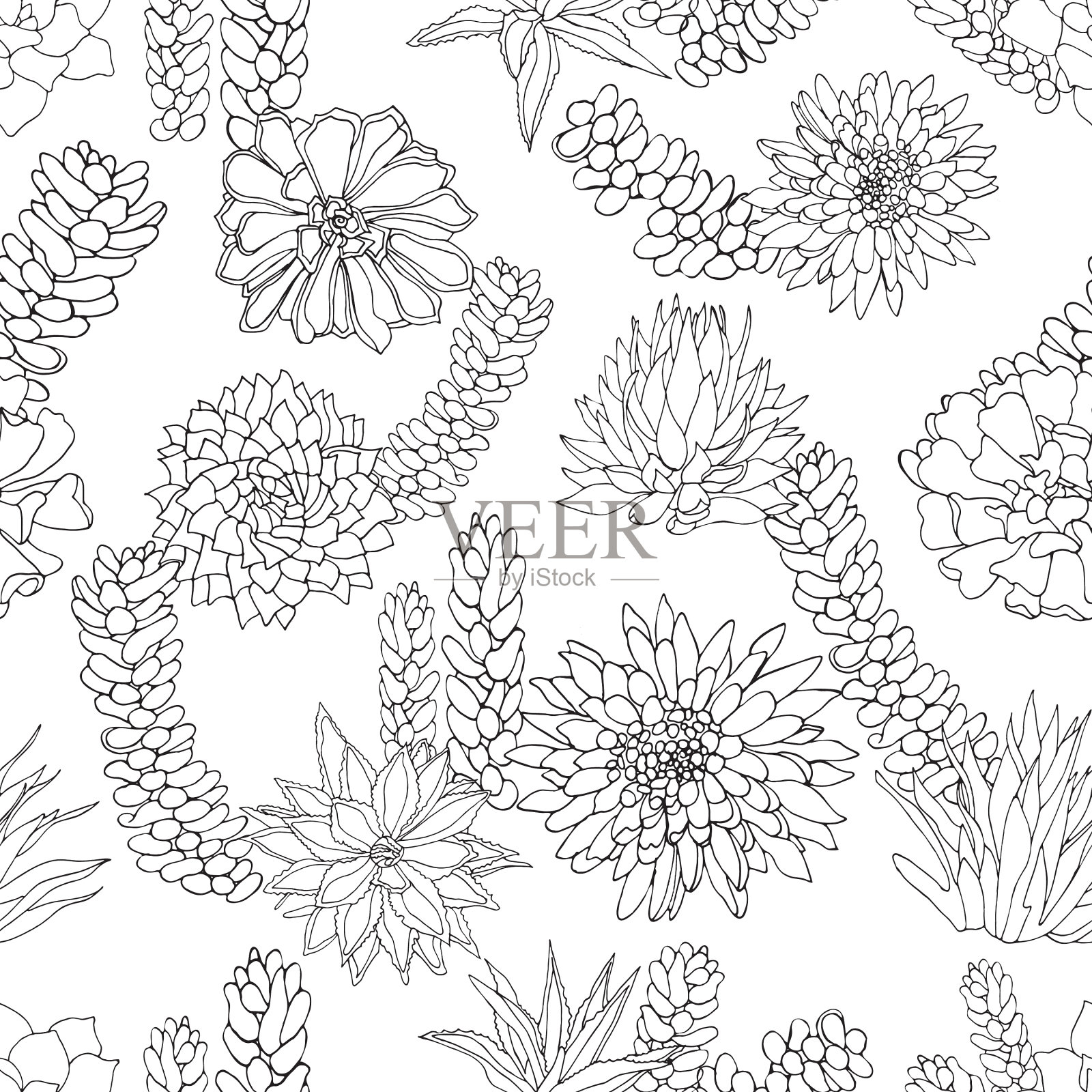 典雅的水墨黑白线条艺术多汁插画图片素材