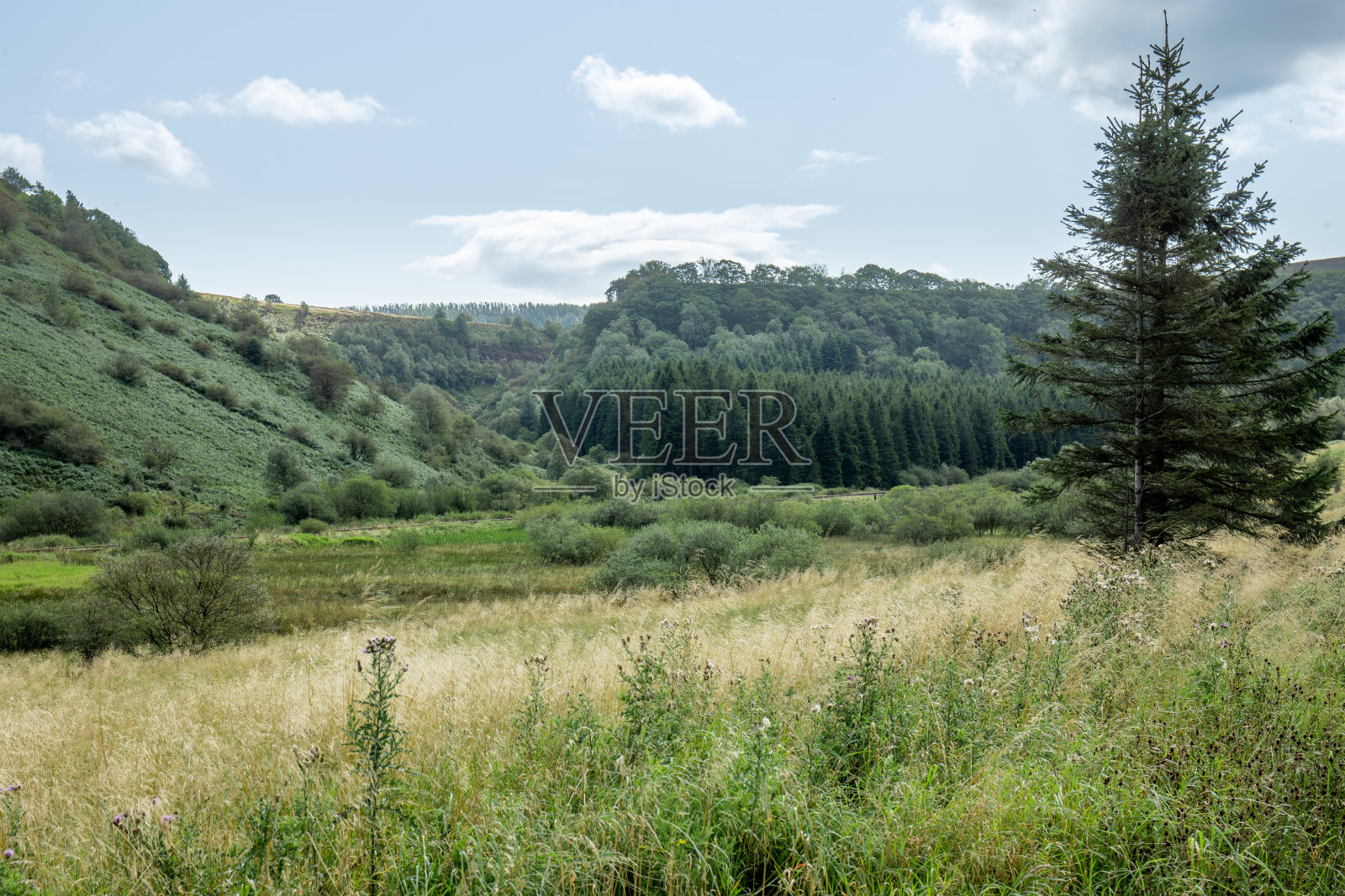 牛顿代尔照片摄影图片