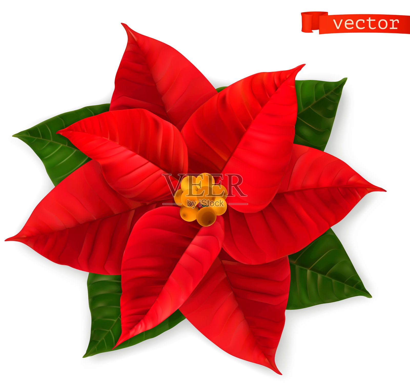 圣诞明星3d现实图标一品红设计元素图片