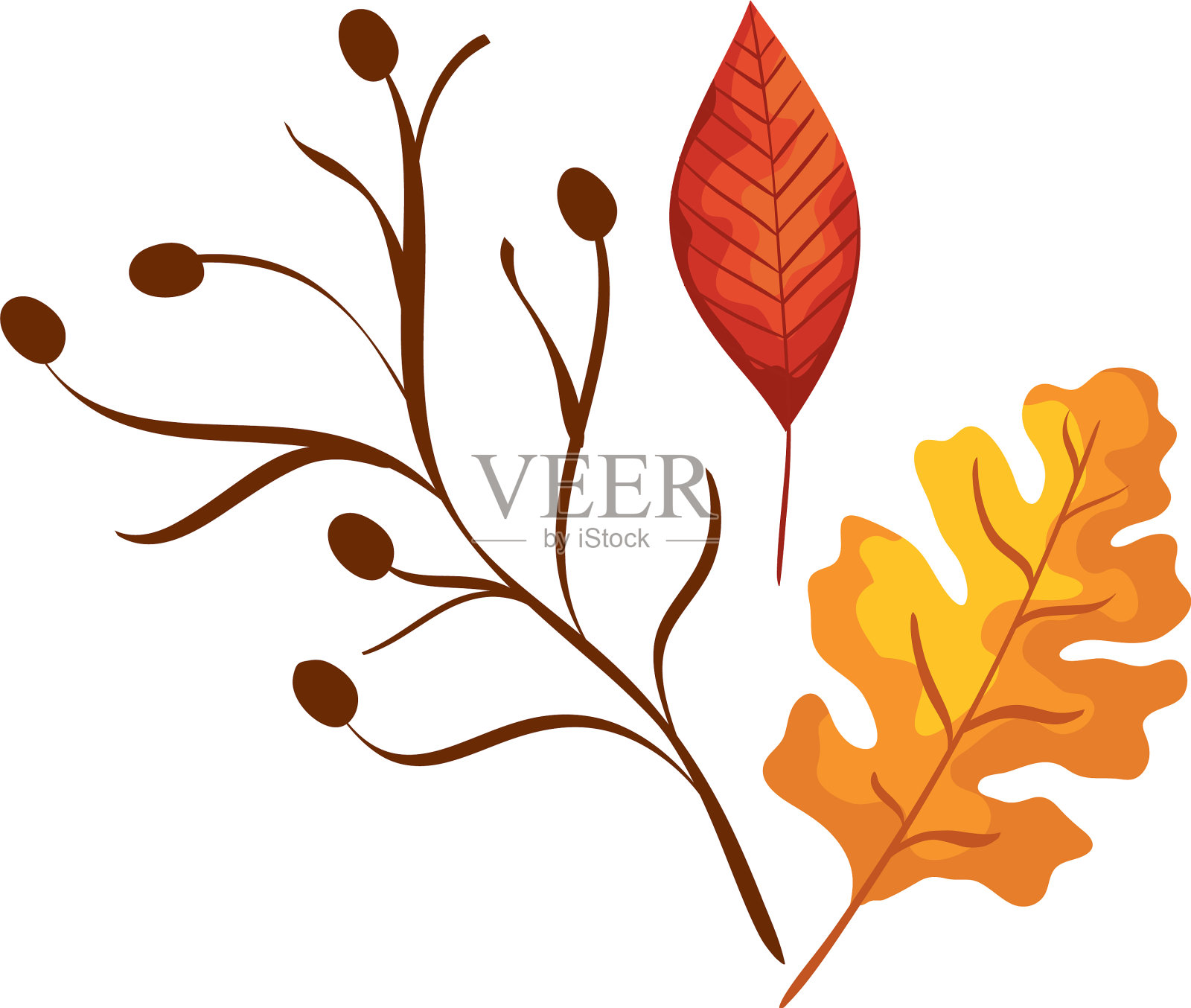 季节秋天枝与叶设计元素图片
