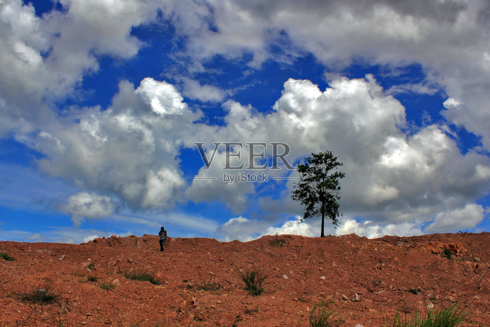 我的天空是蓝色的照片摄影图片