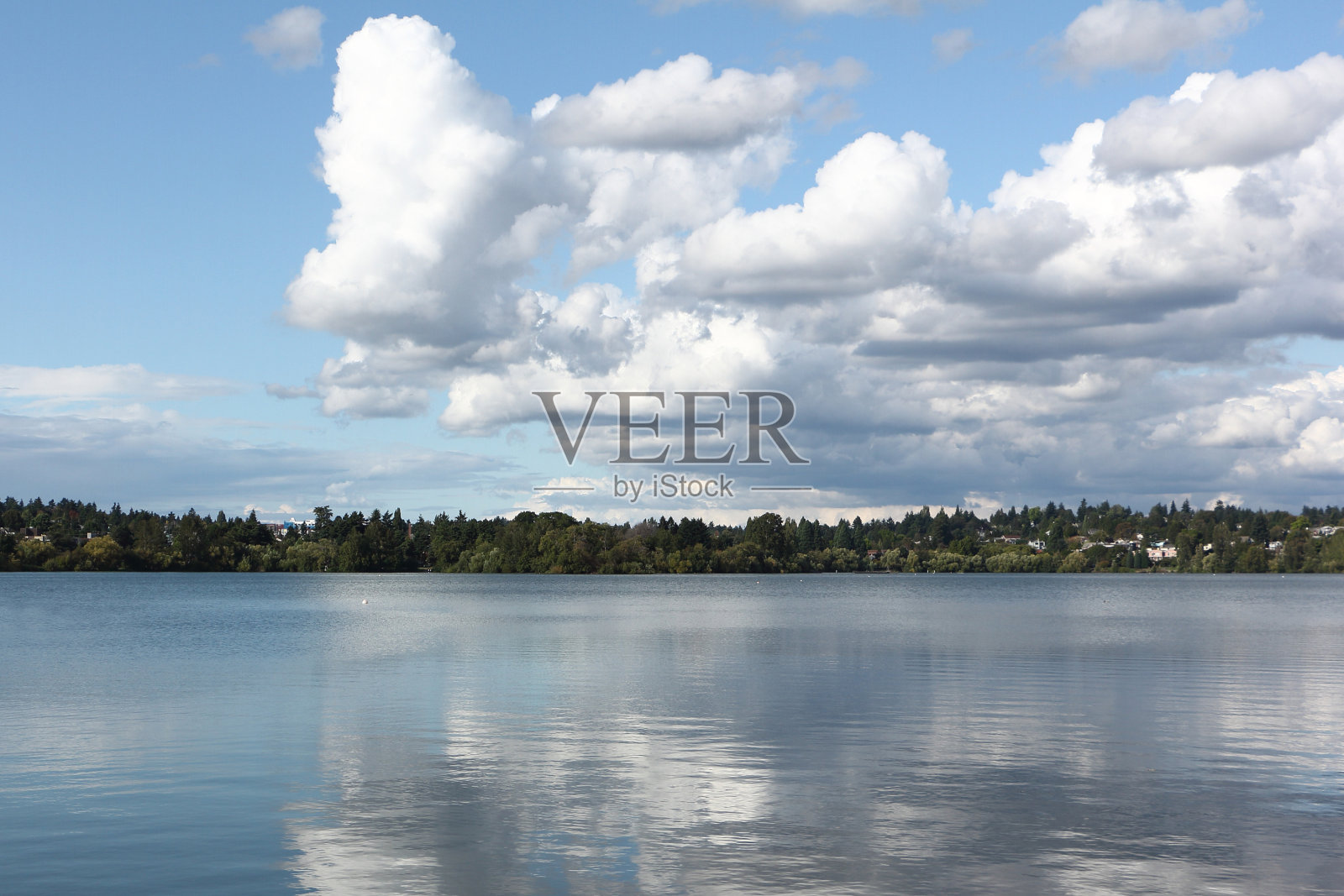 美国华盛顿州西雅图市公园的绿色湖照片摄影图片