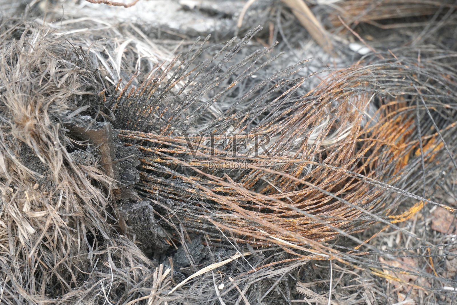 线后燃烧照片摄影图片