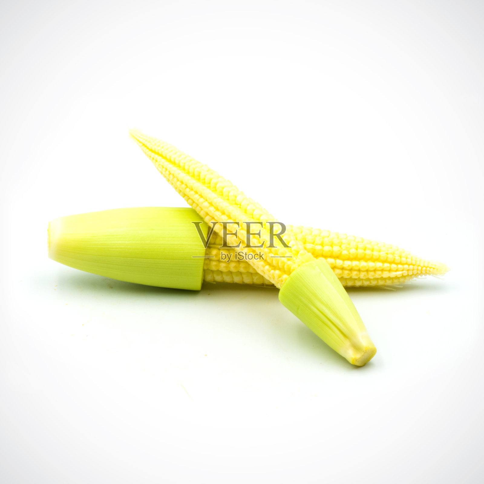 玉米幼崽被孤立在白色的背景上。照片摄影图片
