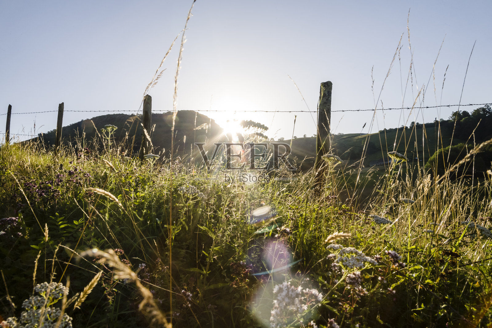 Haux运动照片摄影图片