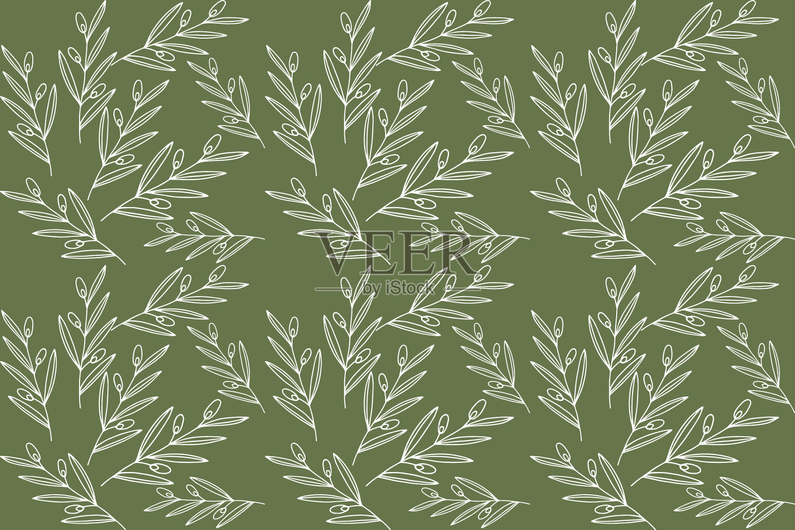 勾勒橄榄枝图案涂鸦插画图片素材