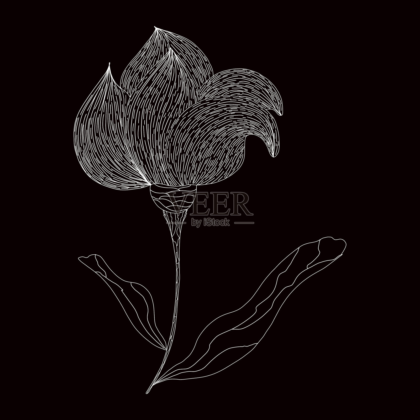 手绘花在黑色的背景插画图片素材