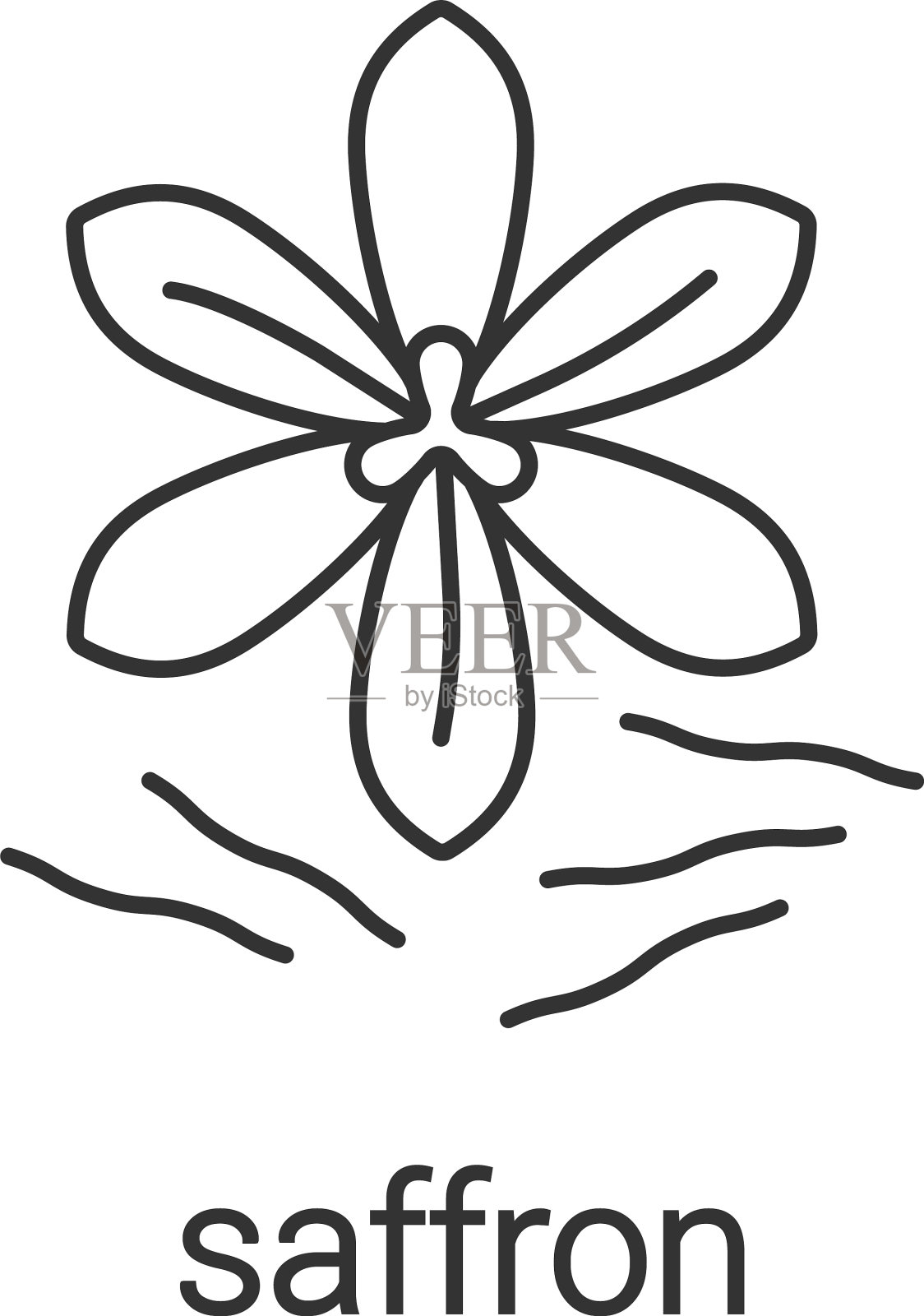 藏红花线性图标插画图片素材