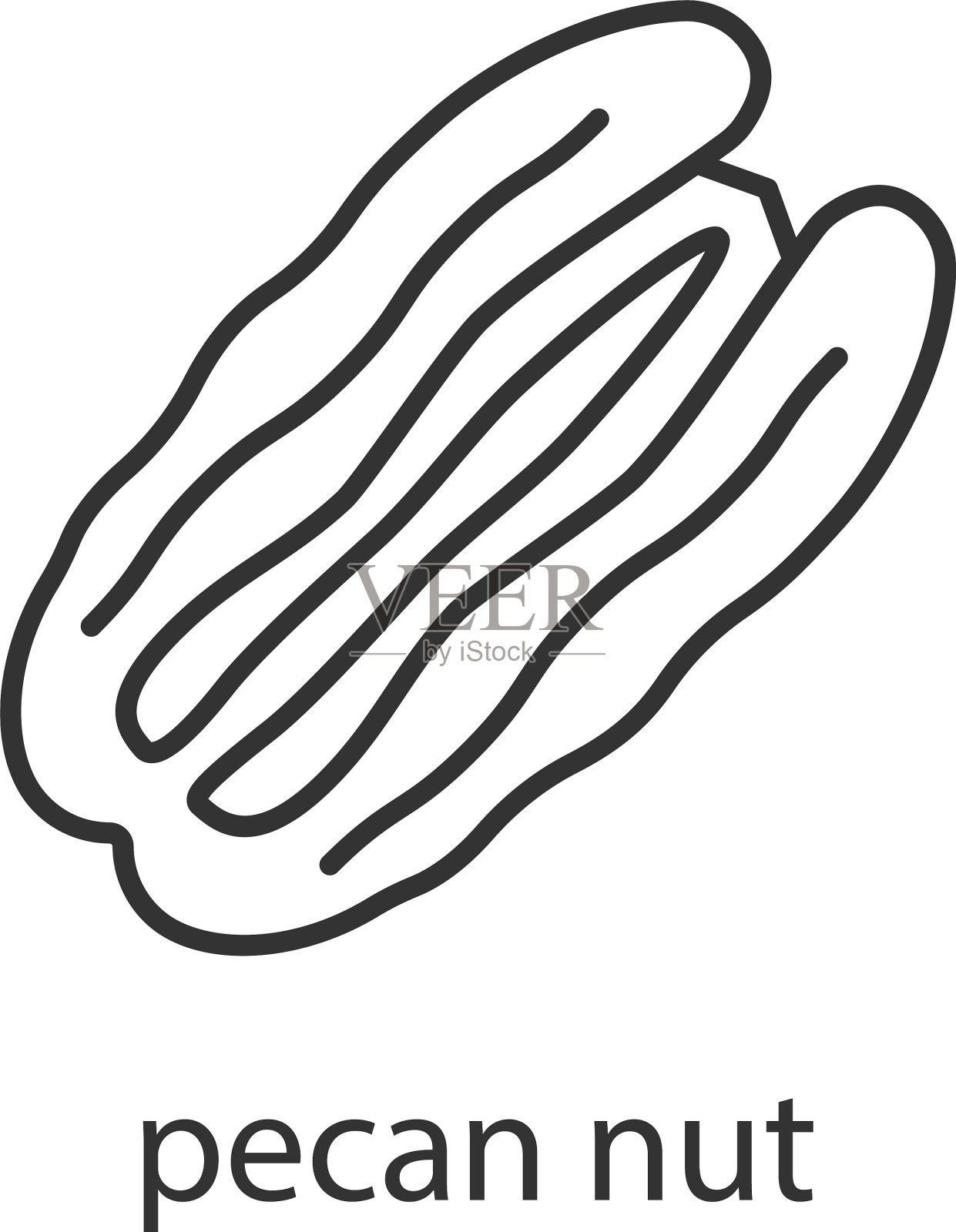 山核桃坚果线性图标插画图片素材