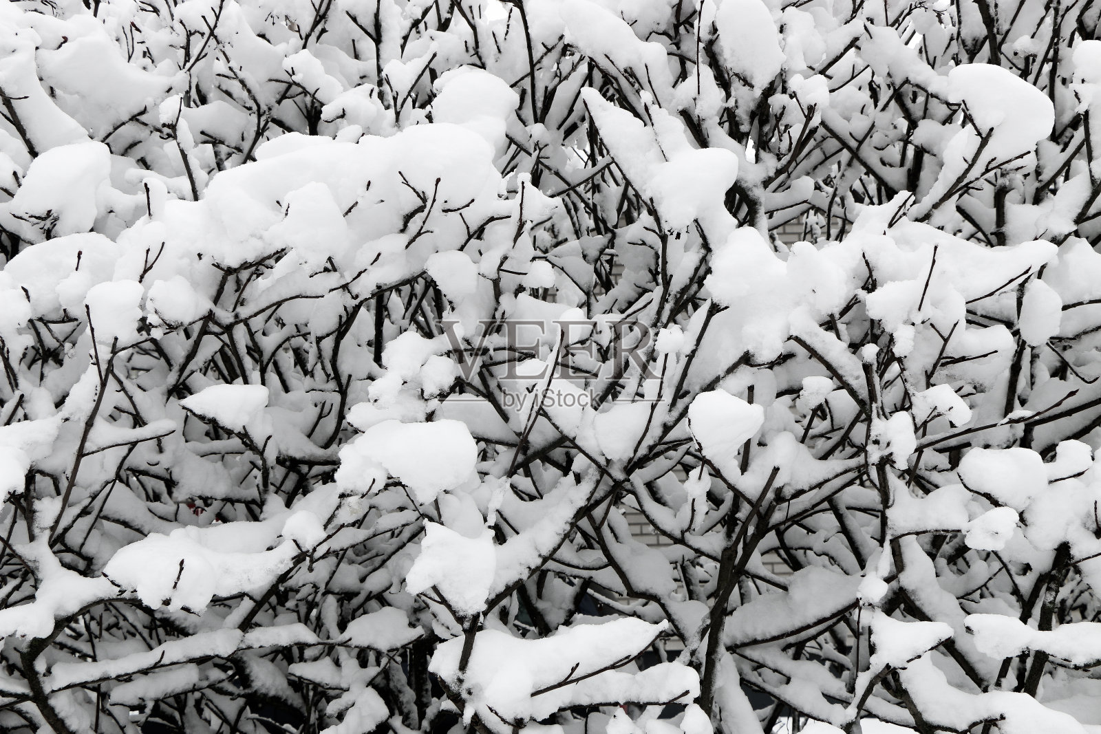 冬季仙境照片摄影图片
