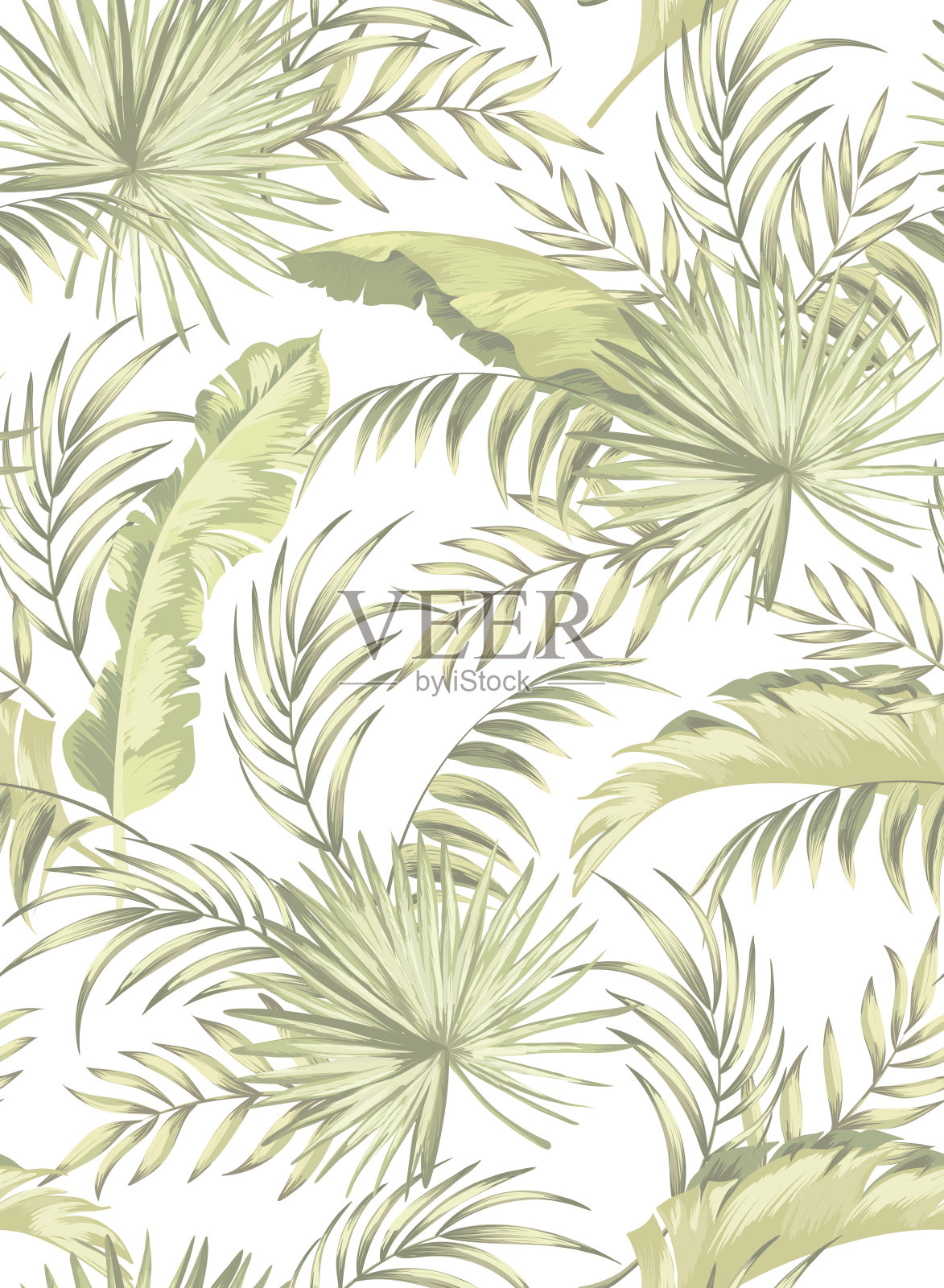 热带矢量插图与棕榈叶。插画图片素材