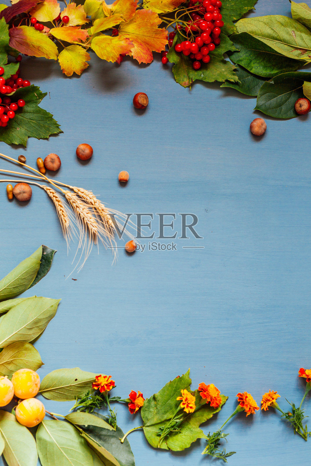 红色和黄色的秋天在灰色的背景下留下水果坚果照片摄影图片