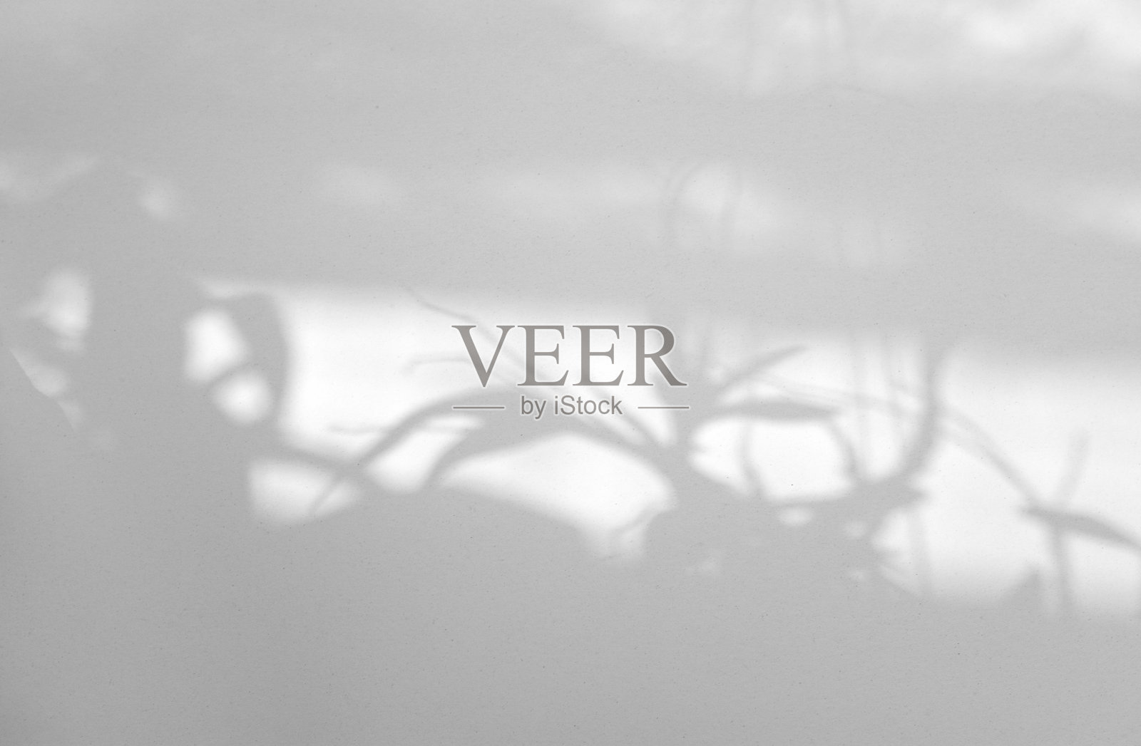 留下自然阴影覆盖在白色纹理背景上,用于覆盖在产品展示,背景和模型照片摄影图片