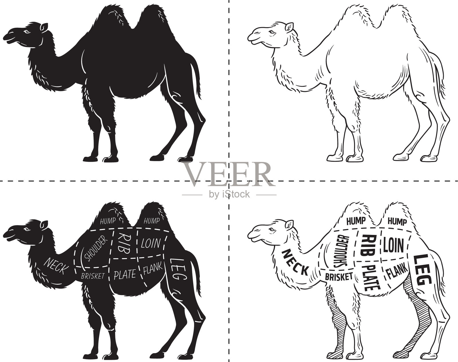 骆驼切集海报屠夫图-沙漠设计元素图片