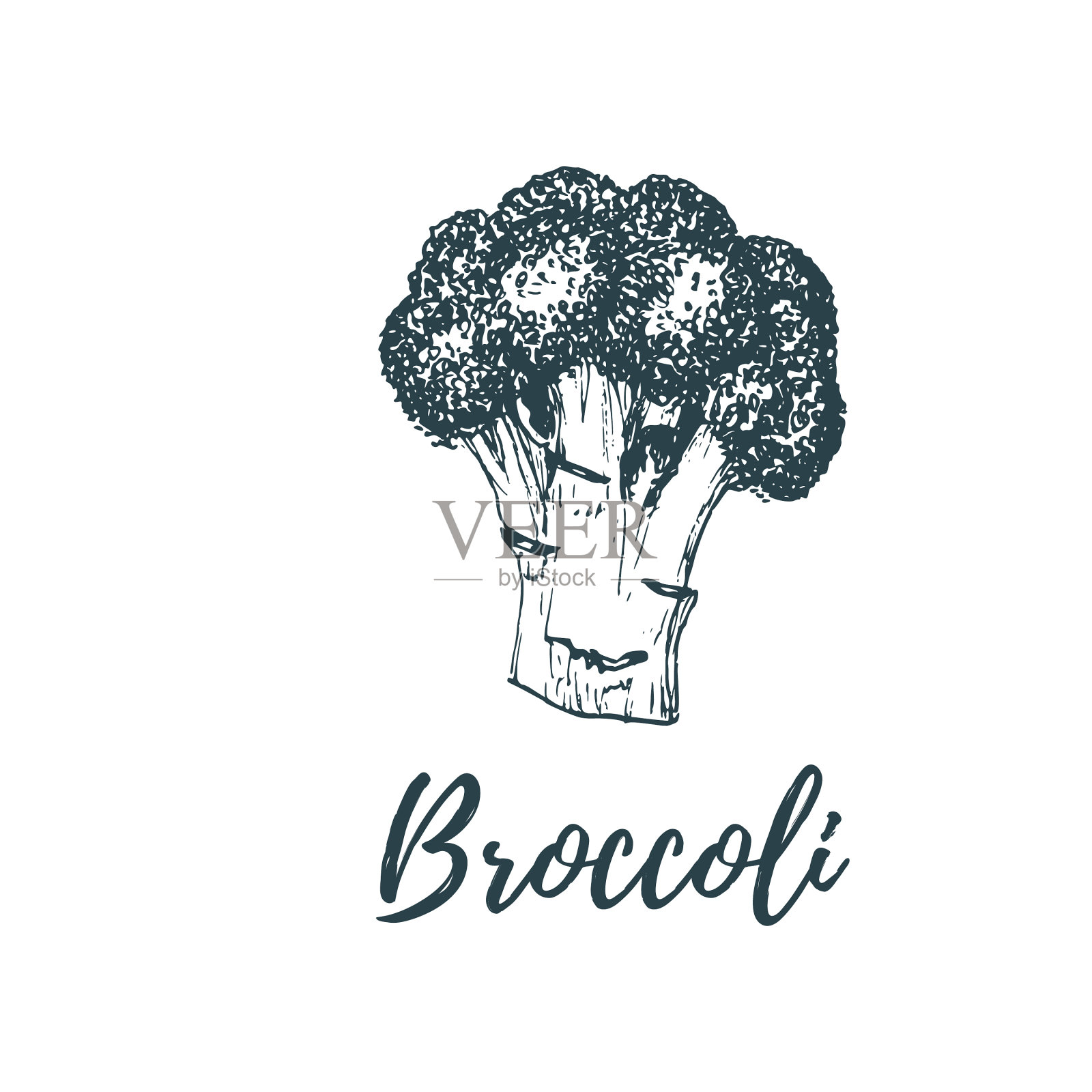 手绘花椰菜设计元素图片