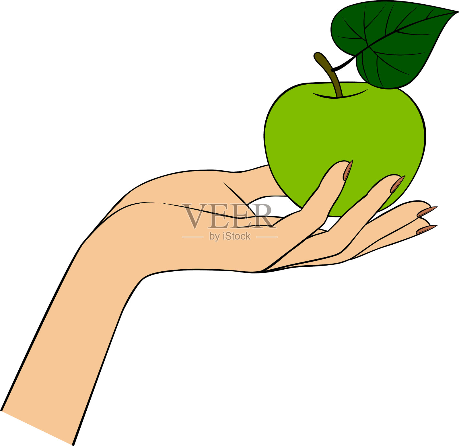 女人的手上有一个青苹果孤立在白色的设计元素图片