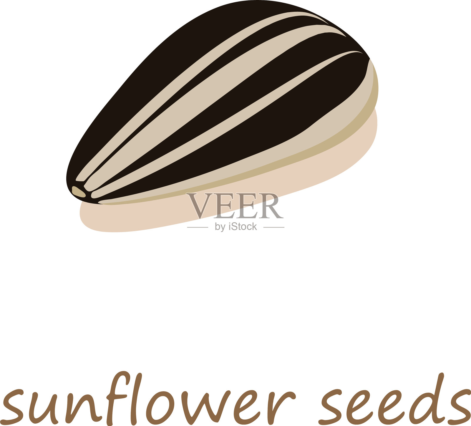 葵花籽图标等距3d风格插画图片素材