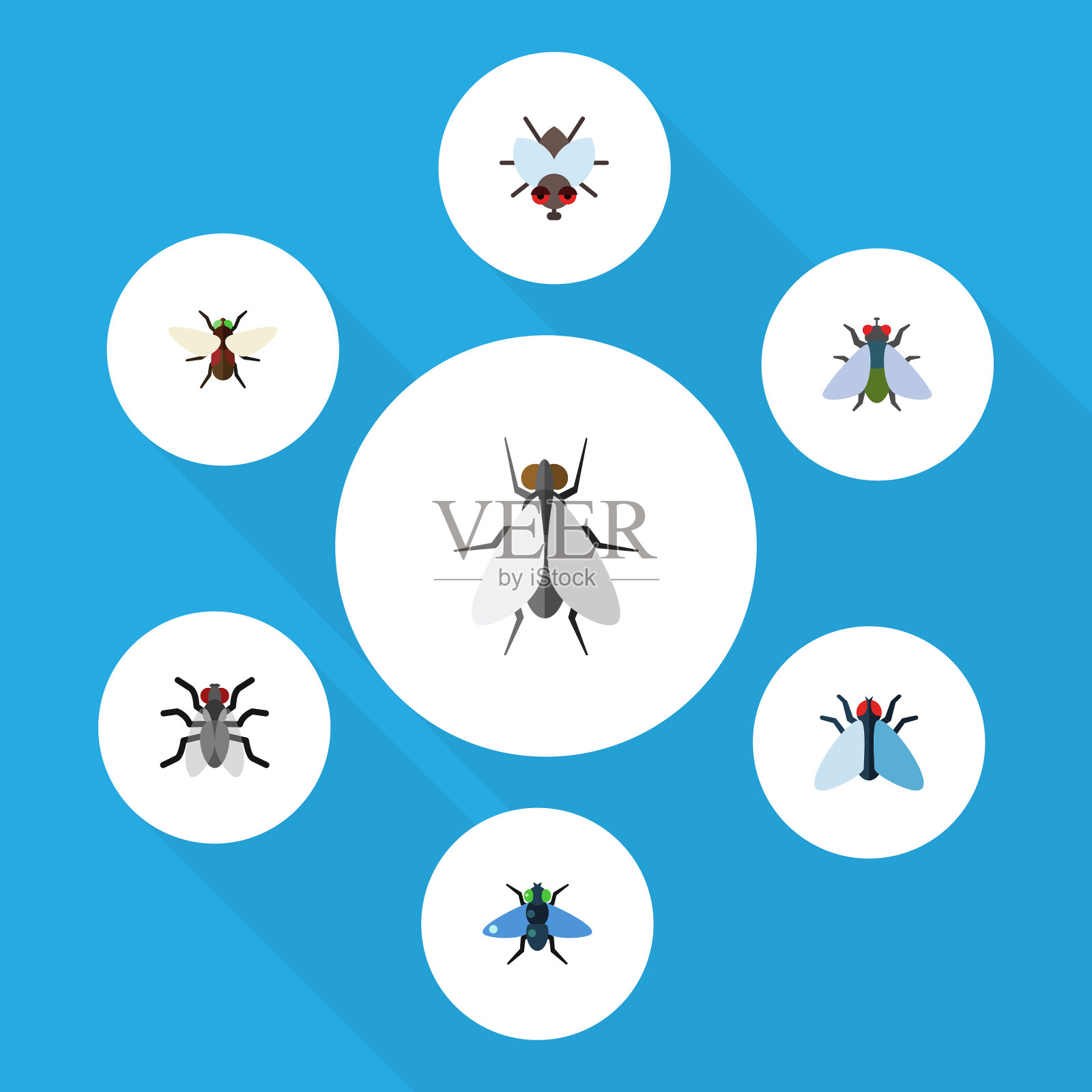 平面图标家蝇蝇粪嗡嗡声和图标素材