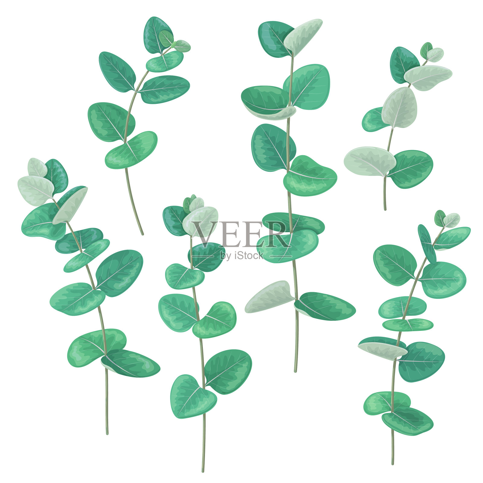 桉树的颜色设计元素图片