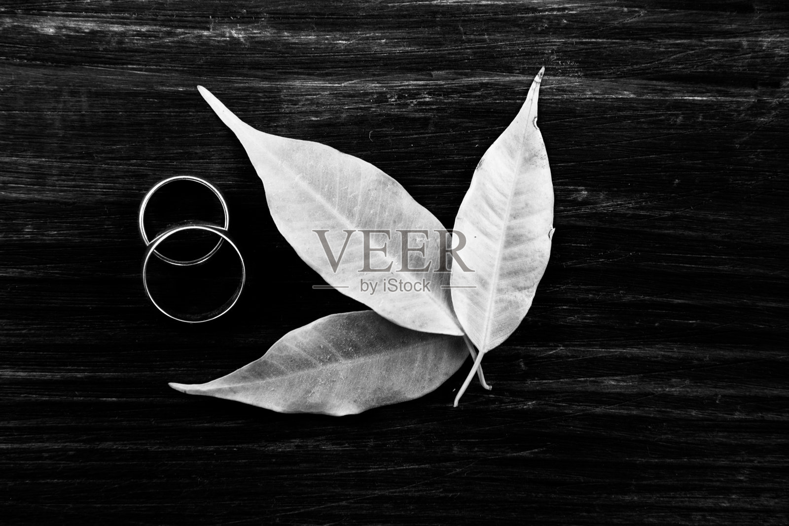 结婚戒指与绿色的叶子在古老的木制背景。照片摄影图片