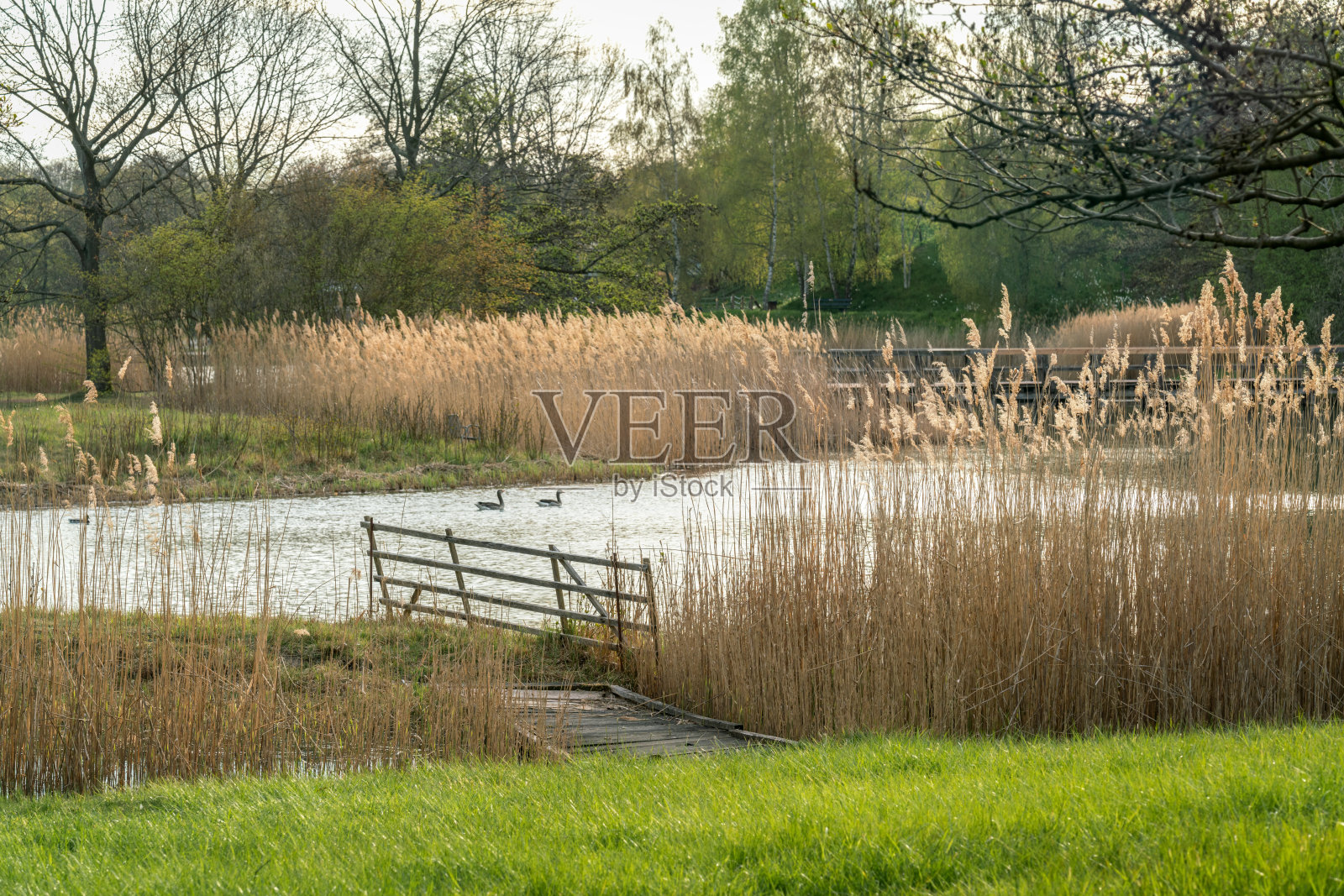 宁静的乡村景观和一个湖照片摄影图片