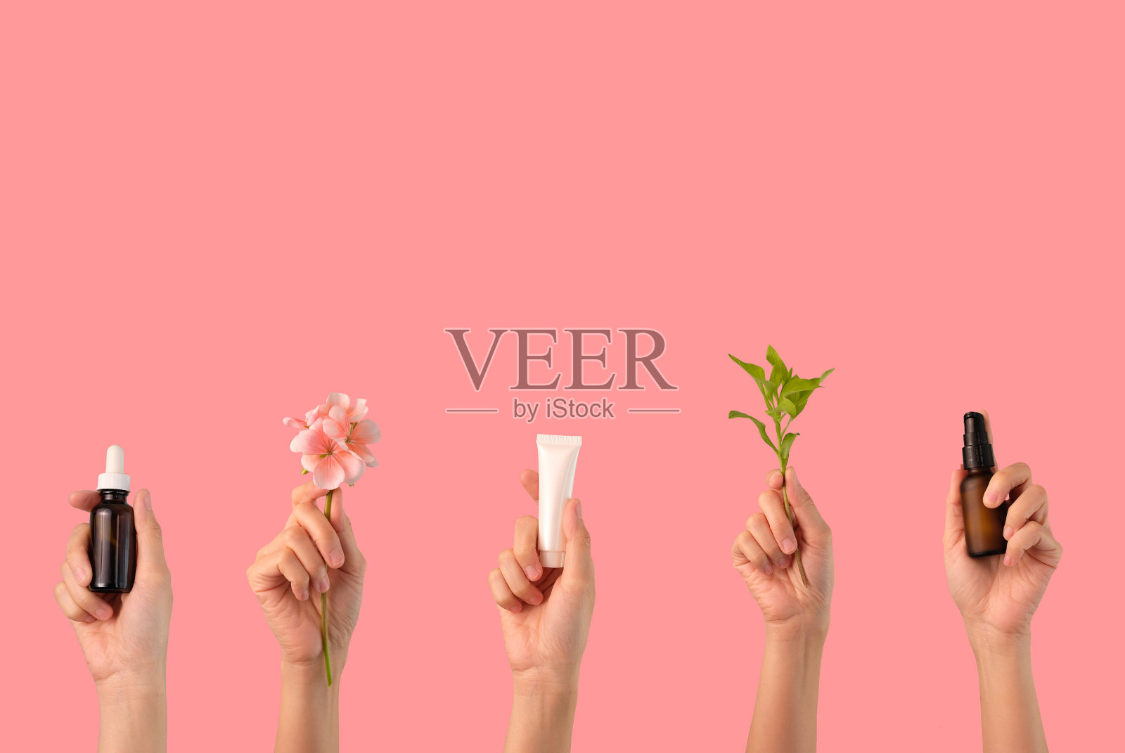 化妆品护肤常规瓶,滴管,泵瓶与有机叶片和花卉成分在粉红色的背景。照片摄影图片