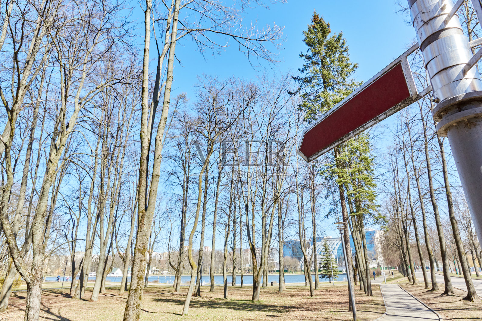 空白箭头方向指示在背景的树木照片摄影图片
