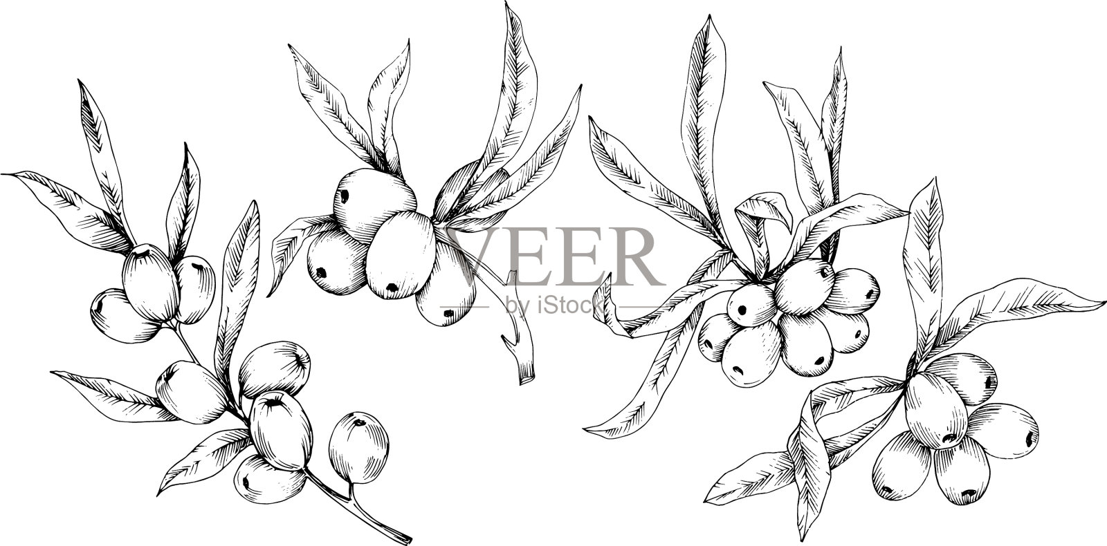 河马植物图标在白色的背景插画图片素材