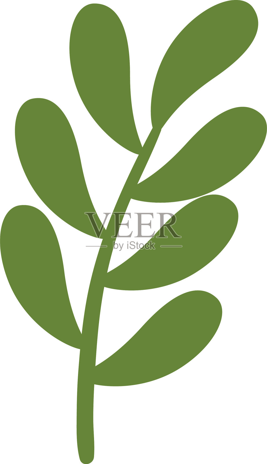 枝与叶自然生态孤立的标志设计元素图片