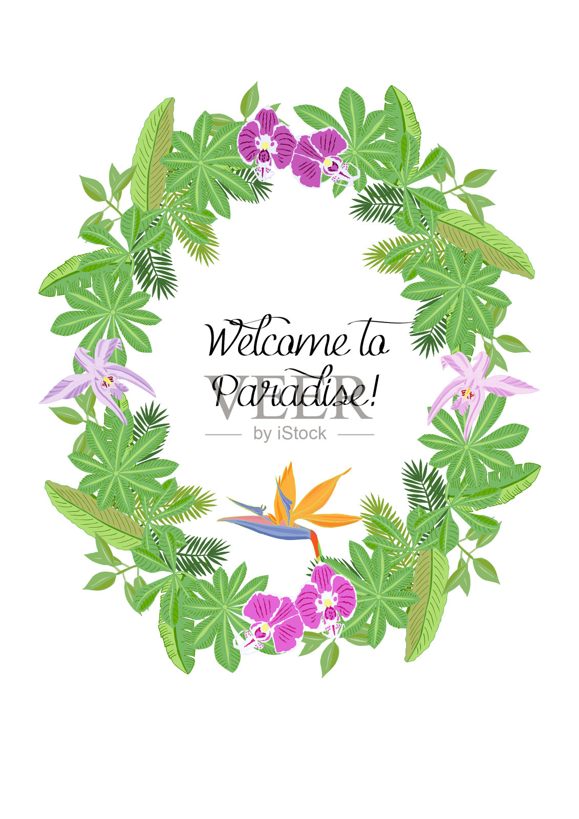 丛林花草速写插画图片素材