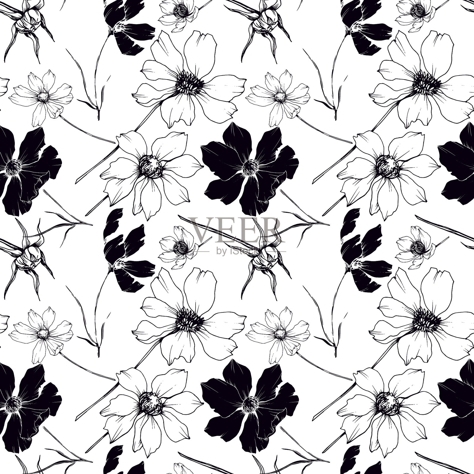 宇宙花,植物花黑色和插画图片素材