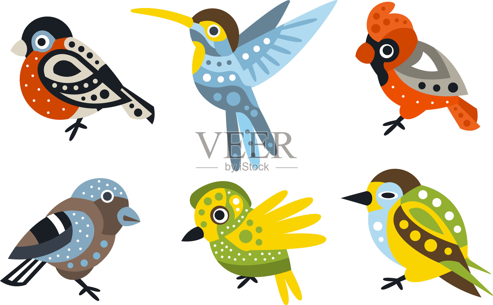 设置不同种类的时尚鸟类插画图片素材